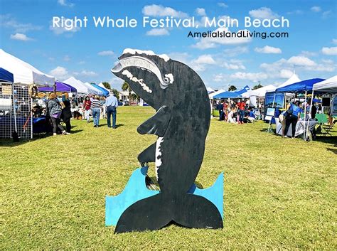 right whale festival fernandina beach